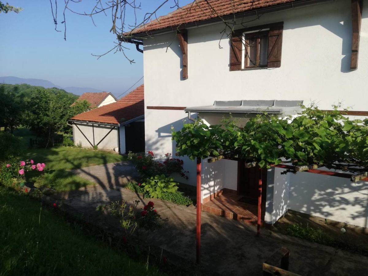 Willa Vikendica I Vajat Vrbica Kalesija Zewnętrze zdjęcie